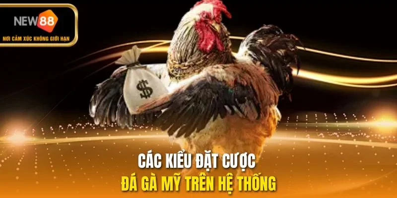 Các kiểu đặt cược đá gà Mỹ trên hệ thống