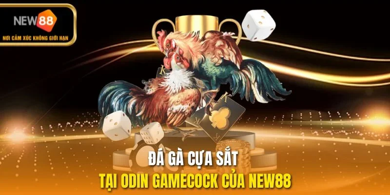 Đá gà cựa sắt tại Odin GameCock của NEW88